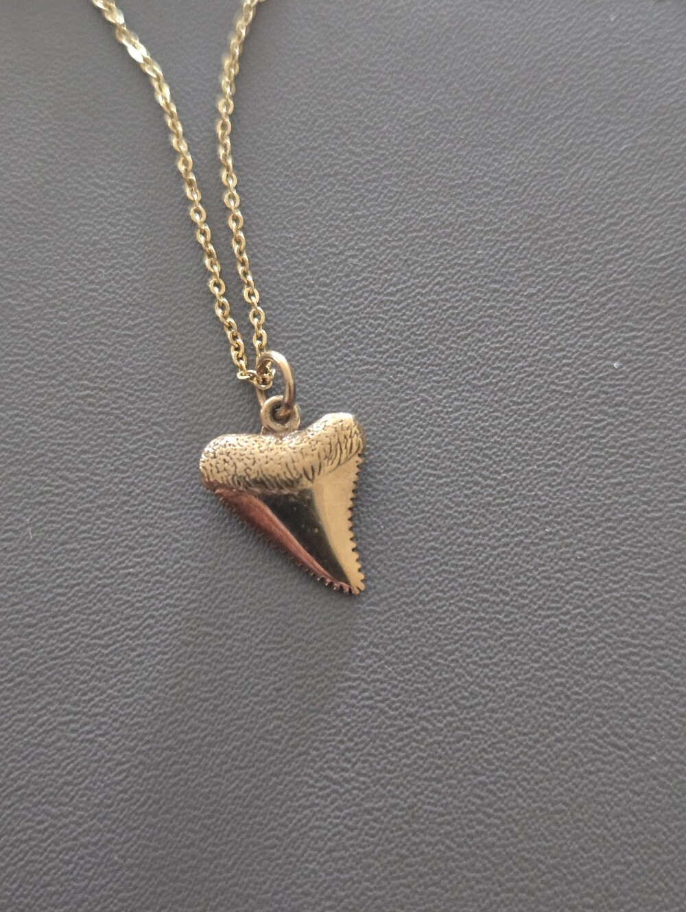 Shark Tooth Necklace 14K Gold Filled